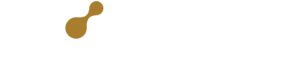 Valcari Reversed Logo